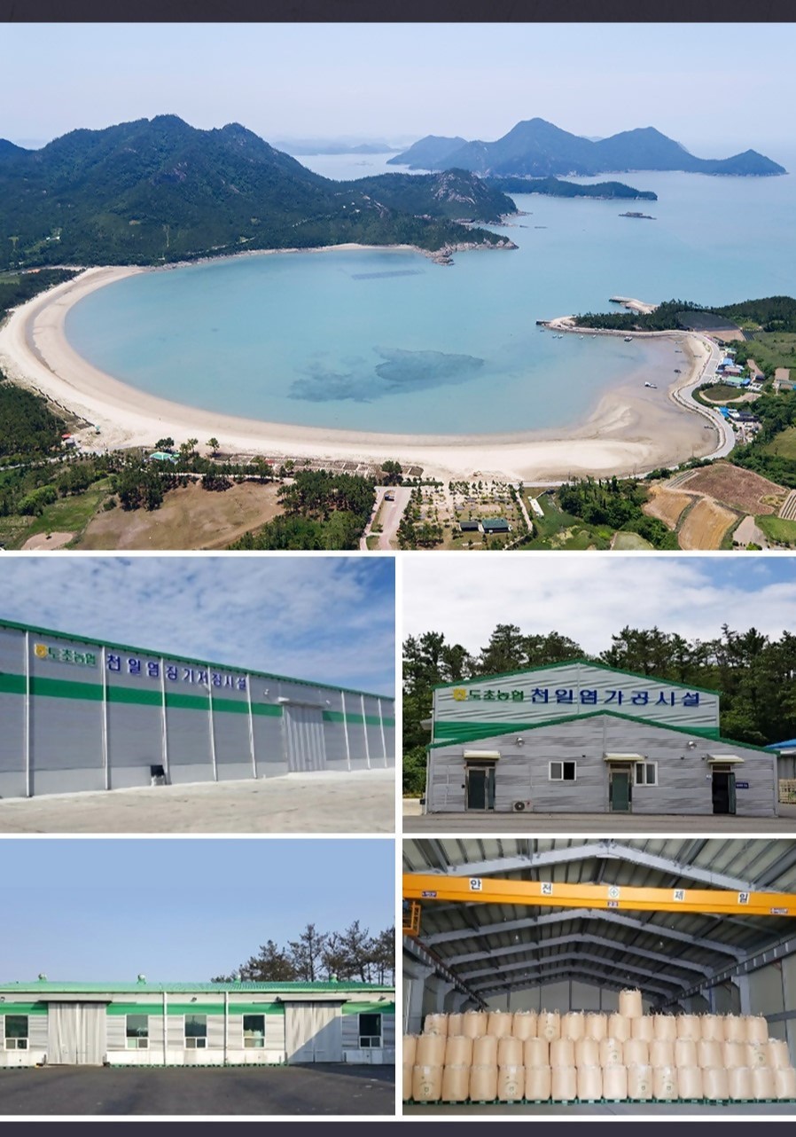 도초천일염